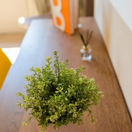 Nona Urban Lodging Bed & Breakfast Braga