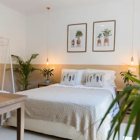 Nona Urban Lodging فندق مبيت وإفطار 2*