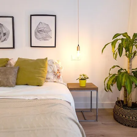 فندق مبيت وإفطار Nona Urban Lodging